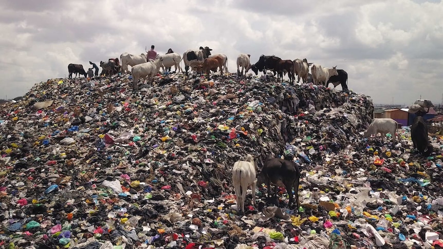 klloyd74's tweet photo. Did you know 15M used clothing items end up at a clothing market in Ghana every week? About 40% are of such poor quality and end up dumped in landfills.
These "dead white man's clothes" are creating an environmental disaster. #shopintentionally #sustainability https://t.co/lnLaKC18R9