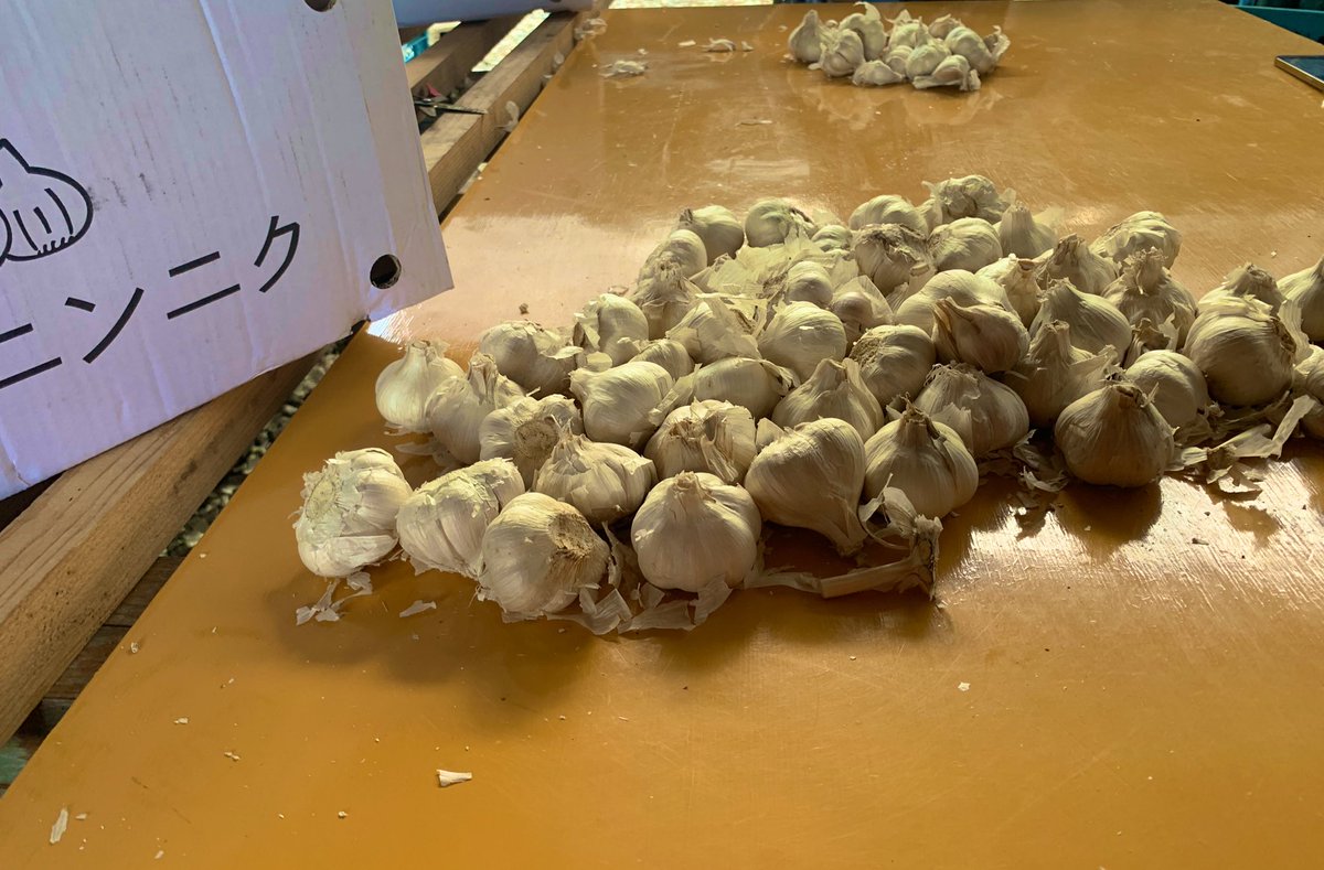 Dexterity1989's tweet photo. ニンニク🧄ニンニク

バラして種にします！これがまたキツい💦
握力を鍛えたい方にはオススメの作業👍 https://t.co/1PIetJFua3