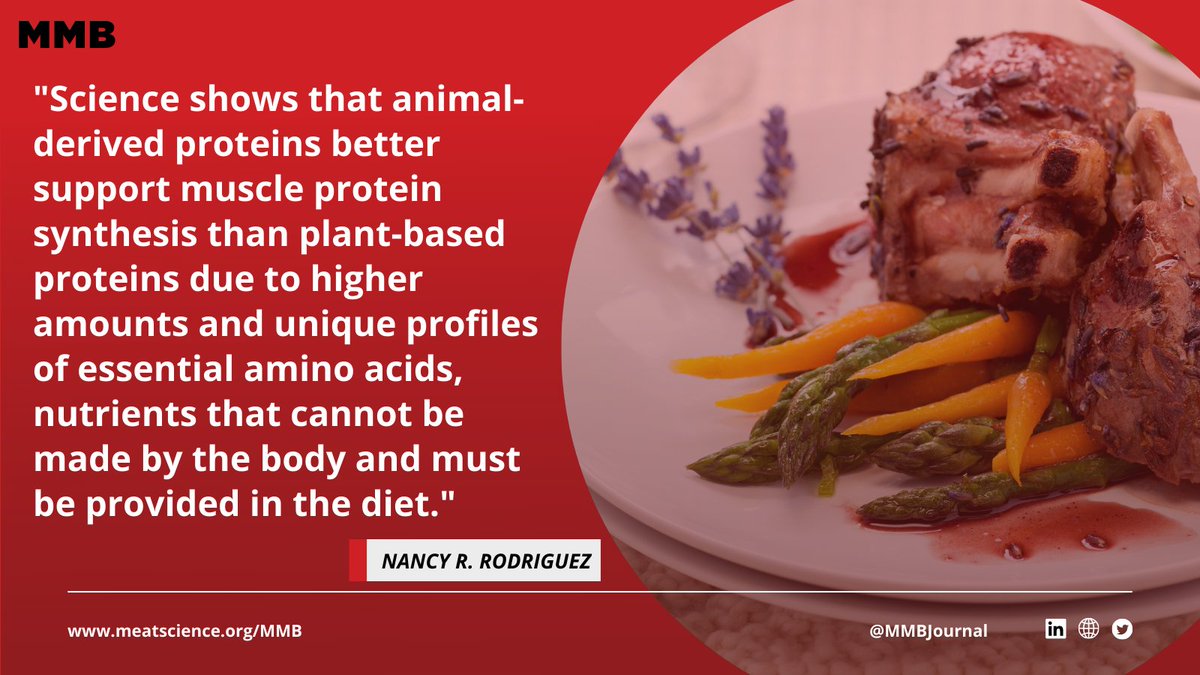 MMBJournal's tweet image. In the #dietary recommendations, the critical role of #protein quality has been lost given the complexity of our #food system. High-quality protein sources are suitable for the design of #healthy eating patterns. Read this great research out of @UConn! doi.org/10.22175/mmb.1…