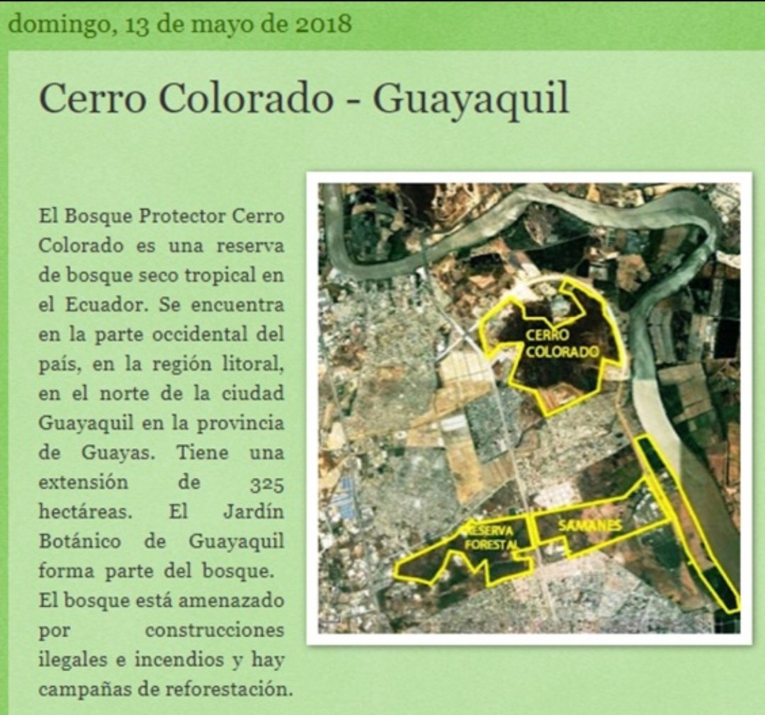 pancholocox's tweet photo. CerroColorado , empiezo con esta información que les ruego lean y ver imagen del perímetro del Cerro @evemontalvans @Ambiente_Ec @APACHE_EC @azamoradj @ecuavisa @elcomerciocom @LassoGuillermo lean esta información https://t.co/YzMD4ONwVy https://t.co/RMOtG7hdtS