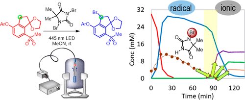 Dani Schultz tweet media