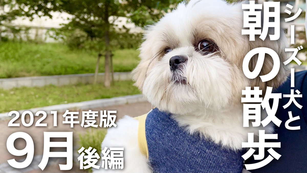 鼻ぺちゃ Twitter Search 鼻ぺちゃ Twitter Search