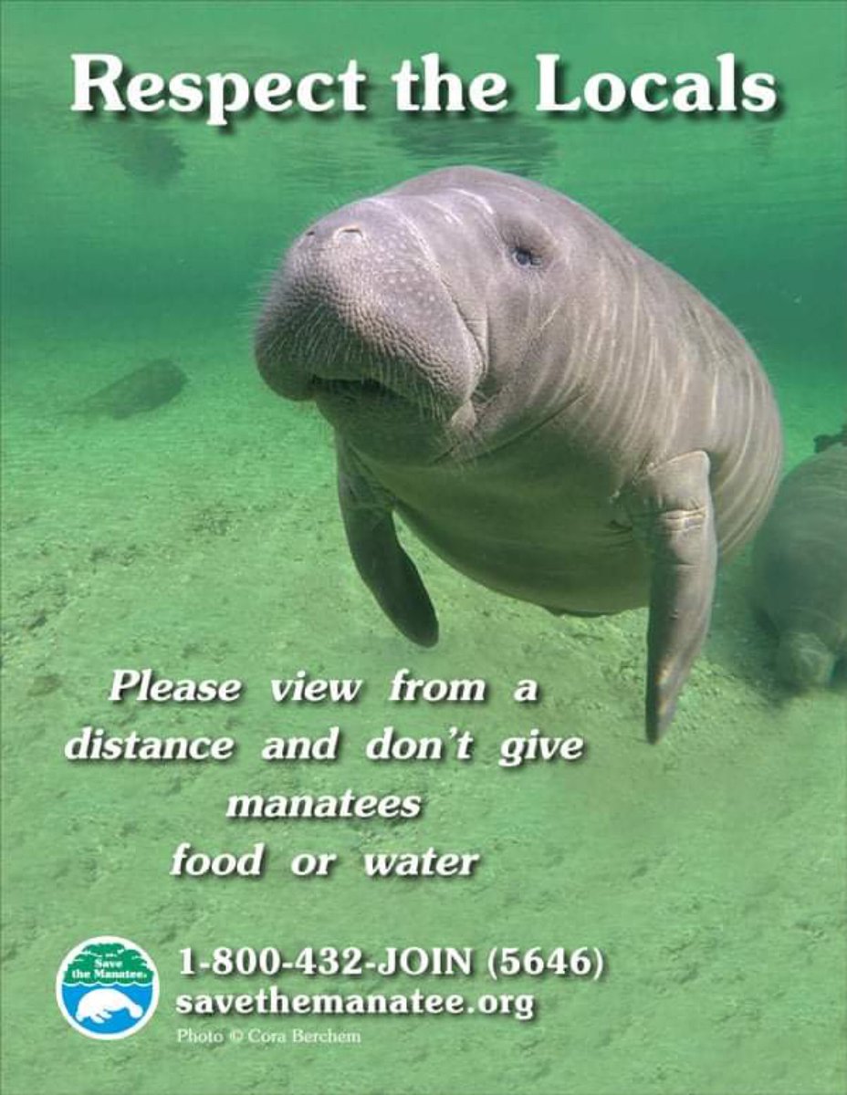 thewebbix's tweet photo. @DemsKeys #ProtectManatees
#RespectNature https://t.co/kreiOLPnzT