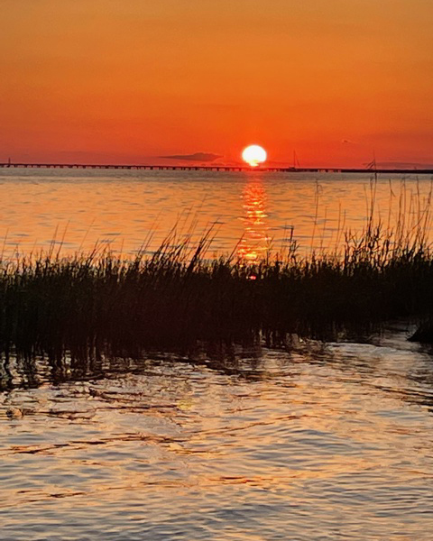 “Autumn leaves don't fall, they fly. They take their time and wander on this their only chance to soar.” - #WhereTheCrawdadsSing 🍂📖 How are you enjoying fall? #CrawdadsMovie. 📸 Author #DeliaOwens