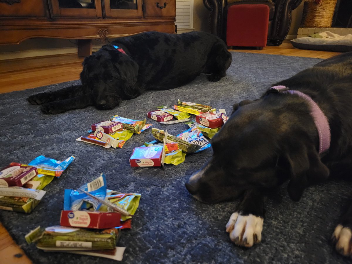 michaeltullier's tweet photo. Prepping trail food for our @BoyScoutT50 #backpacking trip on the #Pinhoti this weekend. Either the food is doggie-approved or doggie-desired! #troop50 #scoutlife #scouting https://t.co/aolV86YSfO