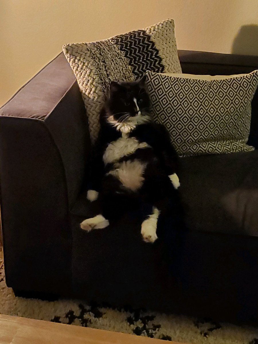 Im_Rashelle's tweet photo. Just.. look at these pictures my moms boyfriend took of Eko 😂 https://t.co/b4PSrwpN8v