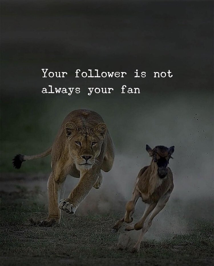 Puff Buddy tweet media