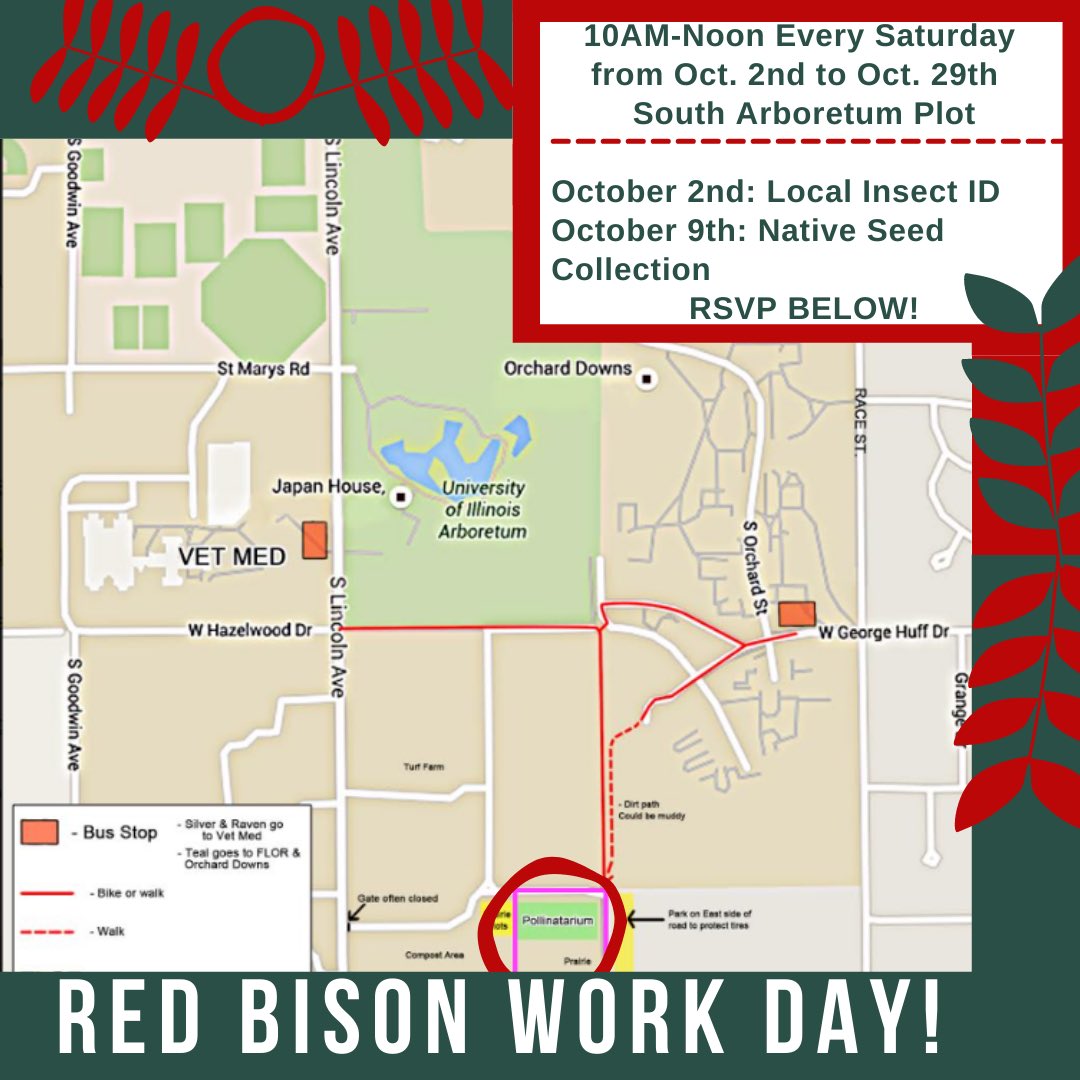 uiuc_sslc's tweet photo. This Saturday, October 2nd, Red Bison will be having a tour where Jake Dixon will identify common insects throughout the South Arboretum Woods (SAW). We will meet at the Red Bison Work Shed at 10 am (weather dependent). RSVP here: https://t.co/kMD5t6sCxR https://t.co/MB9TbfReOj