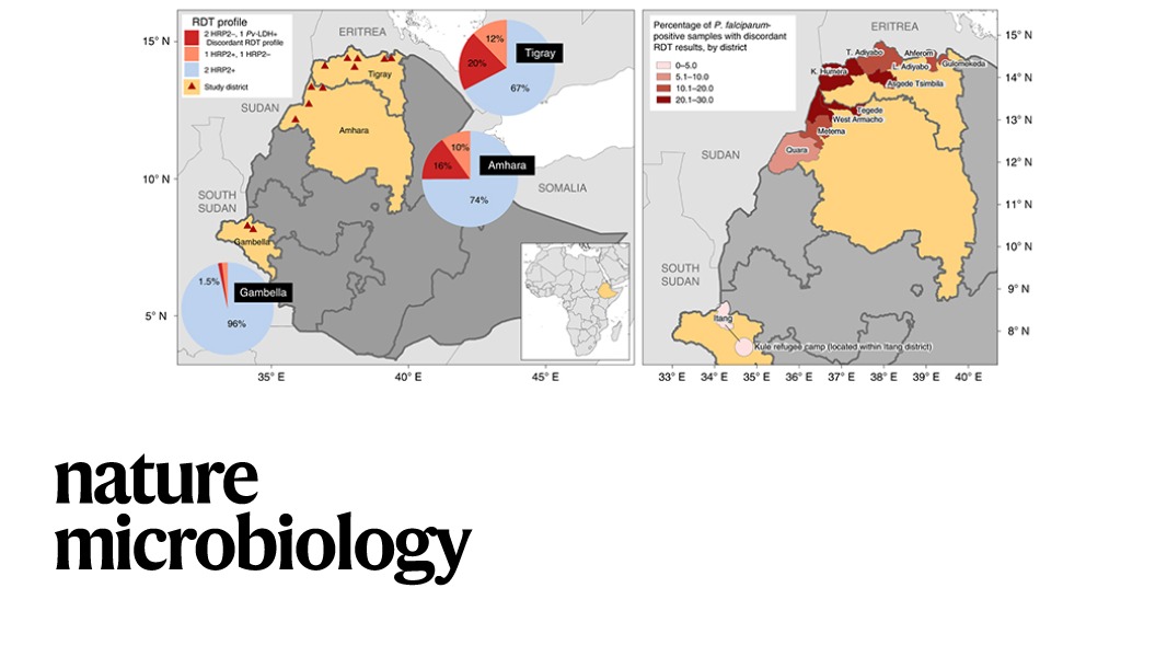Nature Portfolio (@natureportfolio) on Twitter photo A survey of 12,572 participants in Ethiopia reveals that malaria diagnostics miss almost 10 percent of cases owing to a gene deletion in Plasmodium falciparum parasites that is under positive selection, according to a <a href="/NatureMicrobiol/">Nature Microbiology</a> paper. go.nature.com/39NXAPn A survey of 12,572 participants in Ethiopia reveals that malaria diagnostics miss almost 10 percent of cases owing to a gene deletion in Plasmodium falciparum parasites that is under positive selection, according to a <a href="/NatureMicrobiol/">Nature Microbiology</a> paper. go.nature.com/39NXAPn