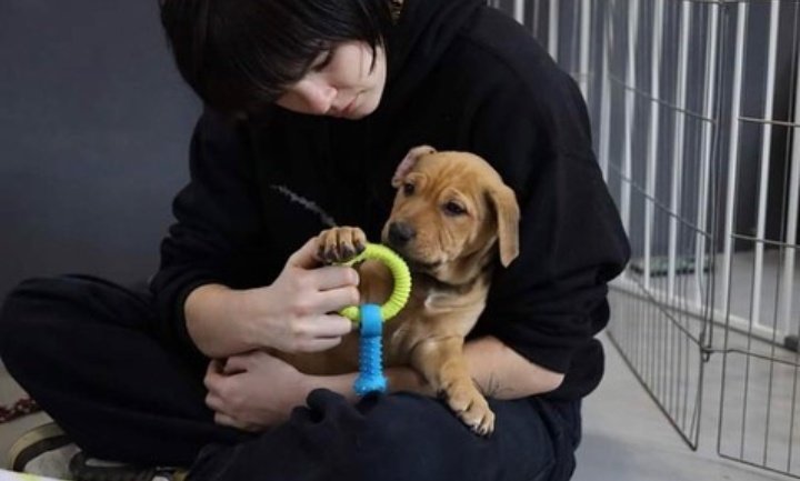 beneethinker's tweet photo. she's a dog person 🐾🌷 https://t.co/27GQObT3Dz
