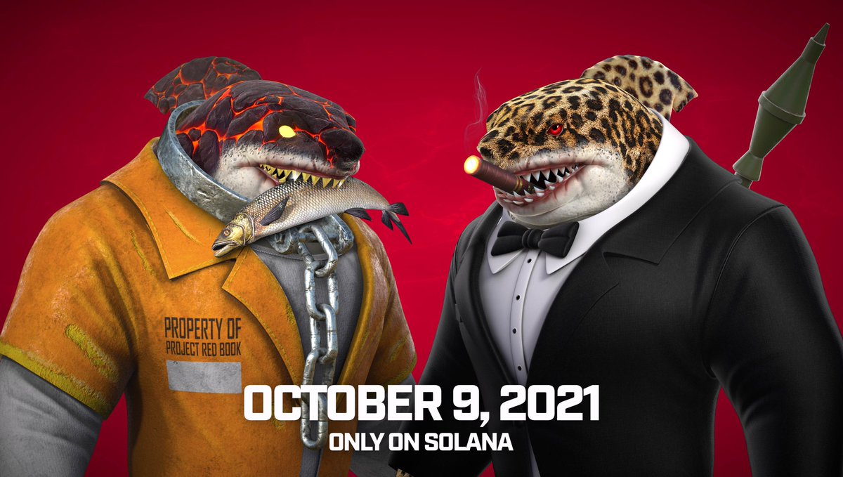 RogueSharks's tweet photo. Monday, our Shark Week (Launch Week) festivities begin.

LFG Sharks! https://t.co/BoQZzRHgav