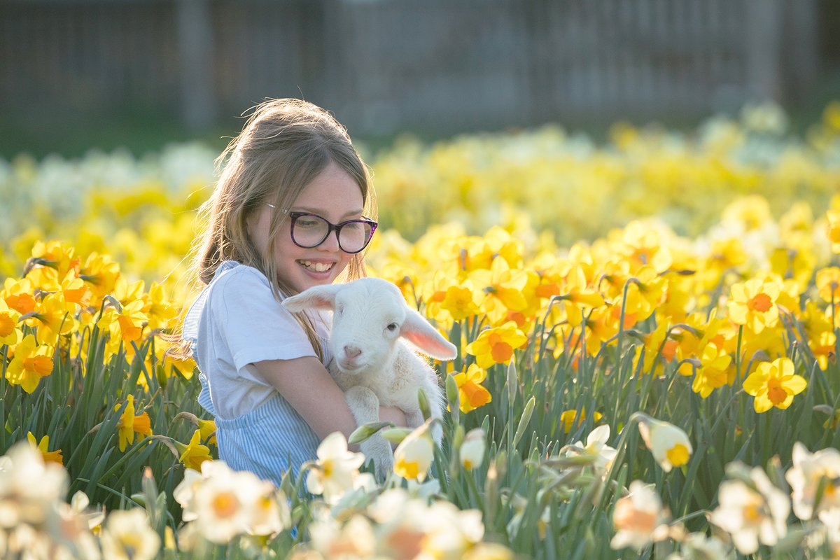 OzDogLover's tweet photo. #BeKindtoAnimalsWeek was created 11 years ago by #EdgarsMission, a sanctuary for rescued farm animals.
“You can support your favourite #animalwelfare charity by volunteering or donating, organise a beach/park clean up, leave water out for local wildlife.” https://t.co/c4hcnrK4cJ https://t.co/cyMzBQWRcJ