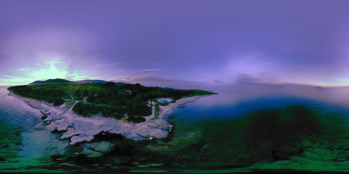 WayLate Films (@waylatefilms) on Twitter photo 