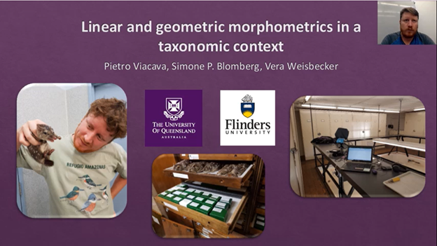 Pietro Viacava presenting: Geometric morphometrics out-performs linear-based methods in the taxonomic resolution of a mammalian species complex #AMSC2021 #AusMammals #BolligerAwardApplicant <a href="/pietro_viacava/">Pietro Viacava</a>