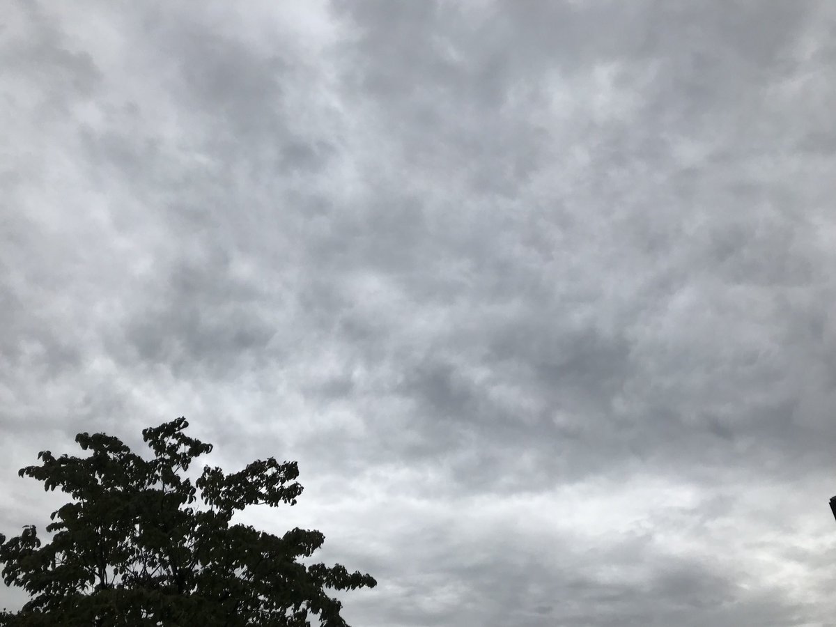 おはようございます。今朝の名古屋は雲の多い空ですが、暑くなりそうです。ヤスイ質店、今日も元気に営業しています！
yasui78.com