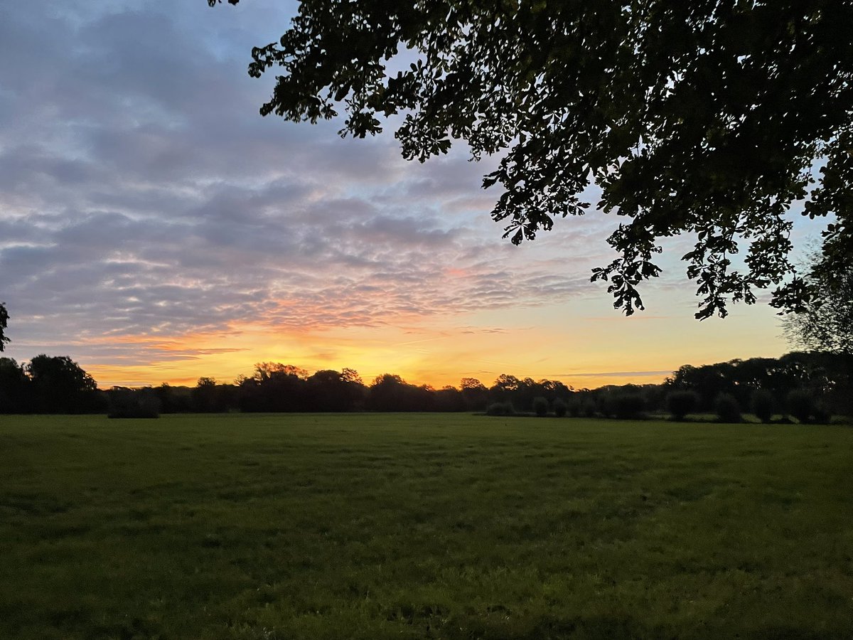 Annatinax's tweet photo. Guten Morgen ☀️😃 #huels #huelserbruch #running !B https://t.co/sI6gtwpMeS