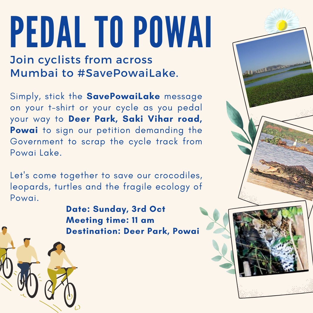 FoundationMuse's tweet photo. This Sunday, 3rd October, join cyclists from across Mumbai to demand Maharashtra Government to save Powai Lake from the cycle track. Make your way through the city roads with SavePowaiLake stickers / posters on your shirts or your cycle. Finally meet us at Deer Park at 11.00 am https://t.co/Dmpv8RCCuq