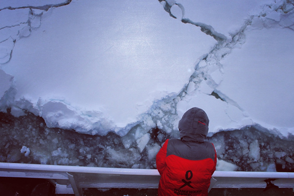 bionicity tweet media