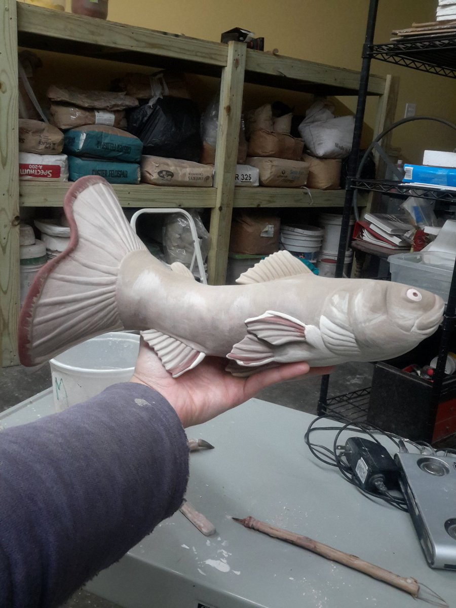 StasevichStudio's tweet photo. Slip work is done, I'll do the rest of the patterning in the glaze. I'm going to add some scale texture tomorrow, and call it good #wip #pinchpot #rhyton #fish #trout #functionalsculpture #sculpturalceramics #natureartist #michiganartist https://t.co/wIfBKPXh4E