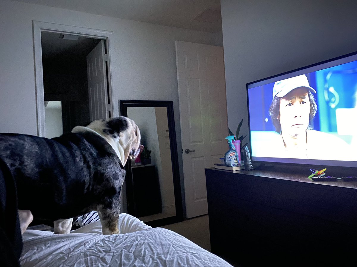 oreo_tux's tweet photo. Who knows what Iโm watching?
.
.
.
#oreo #2am #tvtime #fridaymorning #ThursdayThoughts #bedtime #hoursago #momneedssleep #goodnight #LoveYou https://t.co/Jxh1ecSUSq