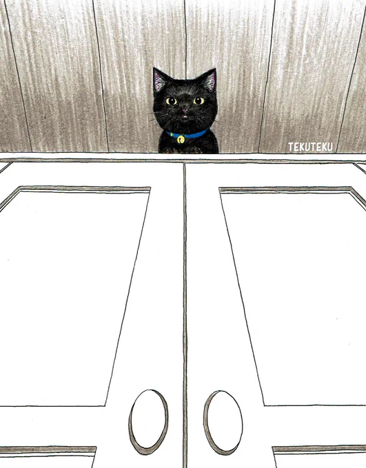 #illustration #オリジナルイラスト 🐈‍⬛🎶 