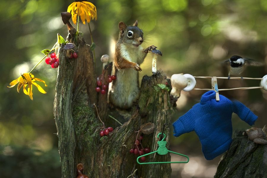 ramblingsloa's tweet photo. It’s October !
Wishing you all a wonderful new month ❤️

📸  Andre Villeneuve https://t.co/7ruGFDl4Ao