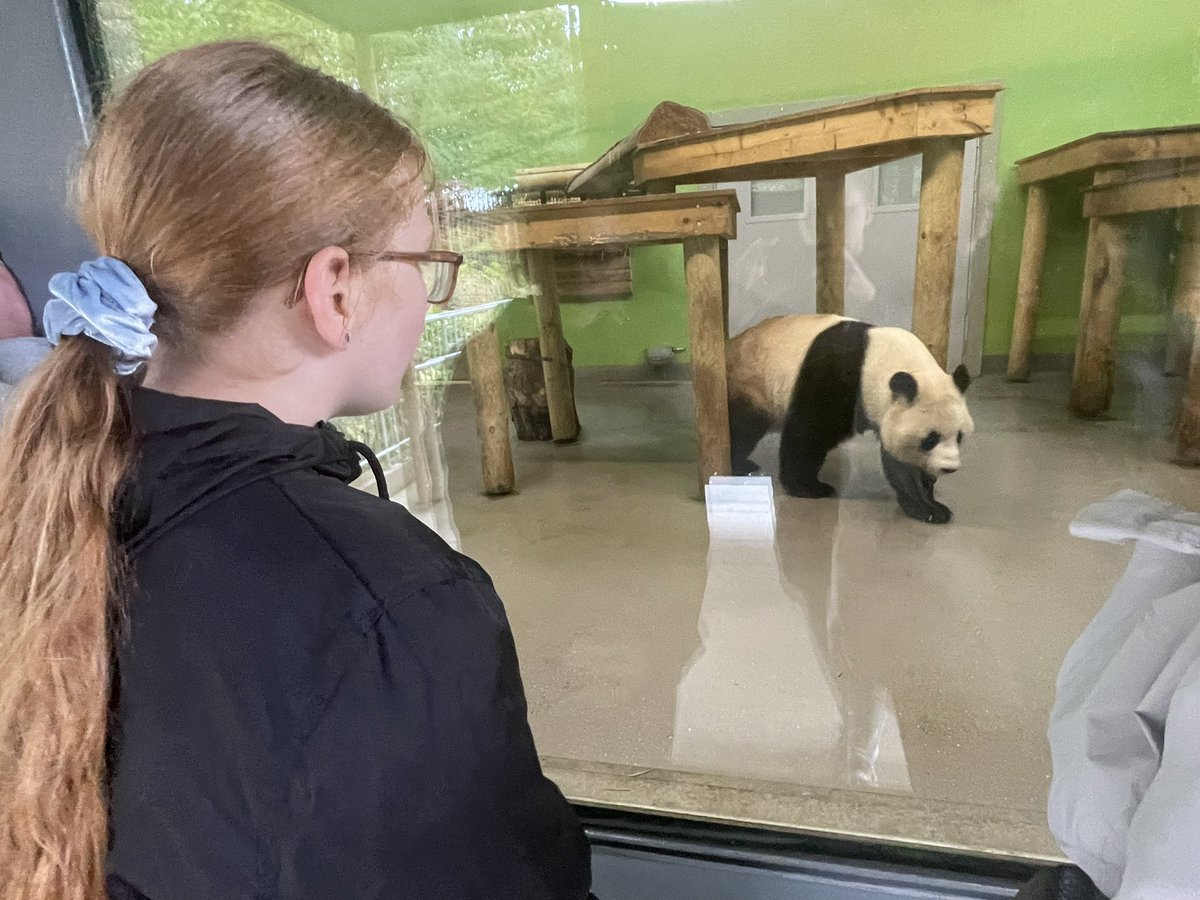 emmajsmith831's tweet photo. Brooke had an amazing day at @EdinburghZoo yesterday and can’t wait to tell her class all about it @MissCrippsJPPS @JubileeParkPS https://t.co/TBN1x3IwTW