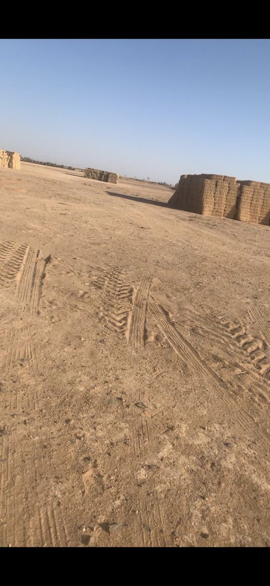 من اسباب ارتفاع الاعلاف التخزين داخل المزارع وخاصه من الشركات والتجار بدون رقابه على البيع والشراء