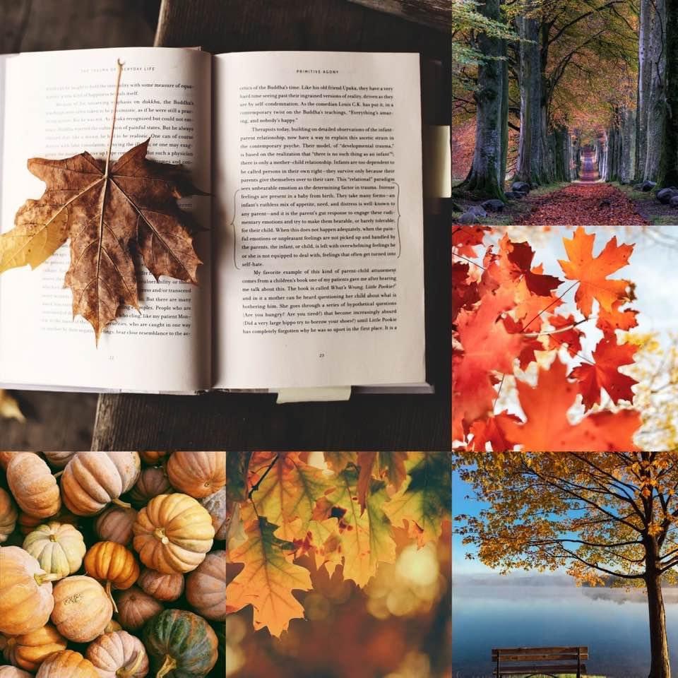 If I have been quiet that’s because I am entering a period of hibernation and rest. I will respond to emails see profile. Thank you for everything ❤️