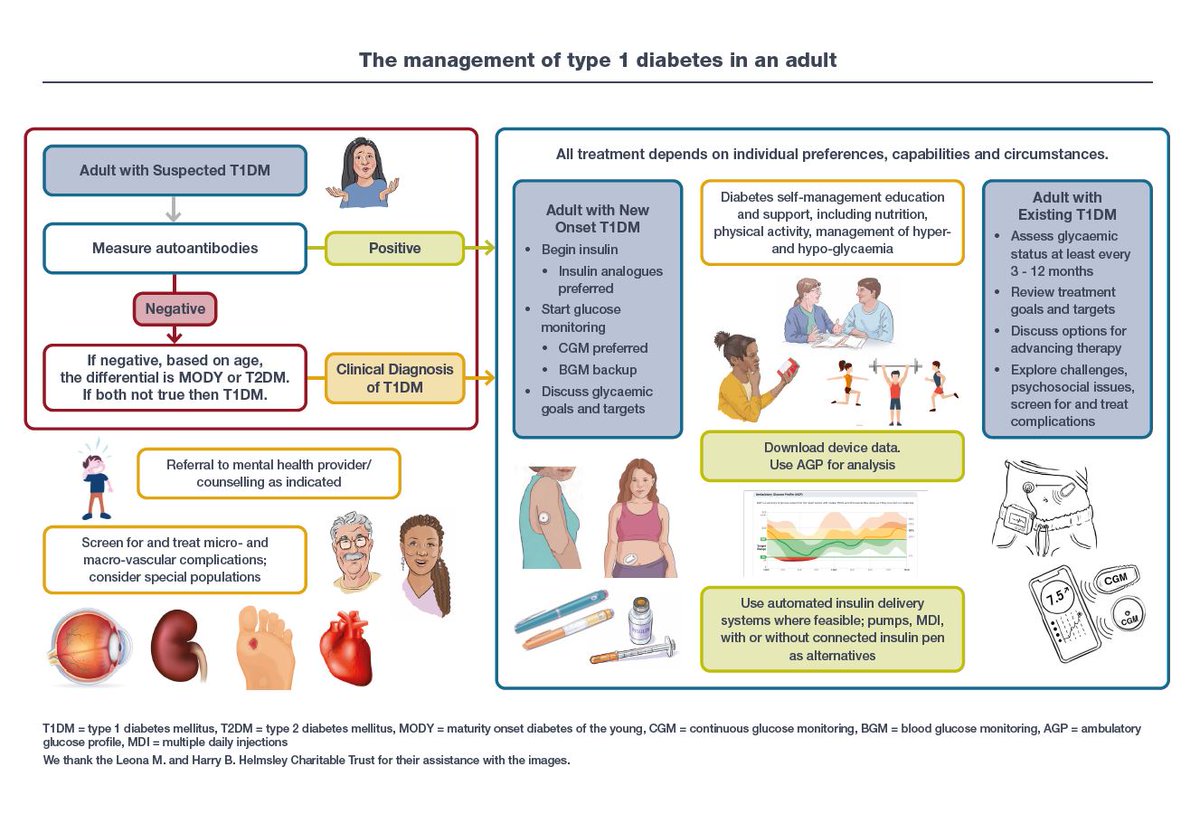 The first consensus report on the management of type 1 diabetes in adults by the American Diabetes Association (ADA) and the European Association for the Study of Diabetes (EASD) has been published. #T1D #consensusstatement @EASDnews @AmDiabetesAssn bit.ly/3uv4nHp