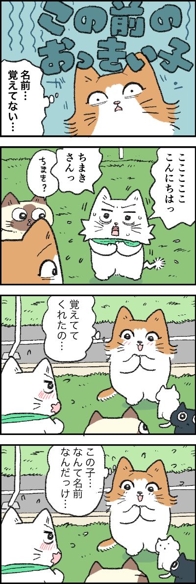 偶然おふくちゃんに会えてうれしいちまきちゃん♡
おふくちゃんとコルくんの反応は……?
第136話「チャンス到来!?」はこちらから⇒(https://t.co/jl3z3uOw8n)
『猫のおふくちゃん』の最新話は毎週金曜日に連載中!
#猫のおふくちゃん