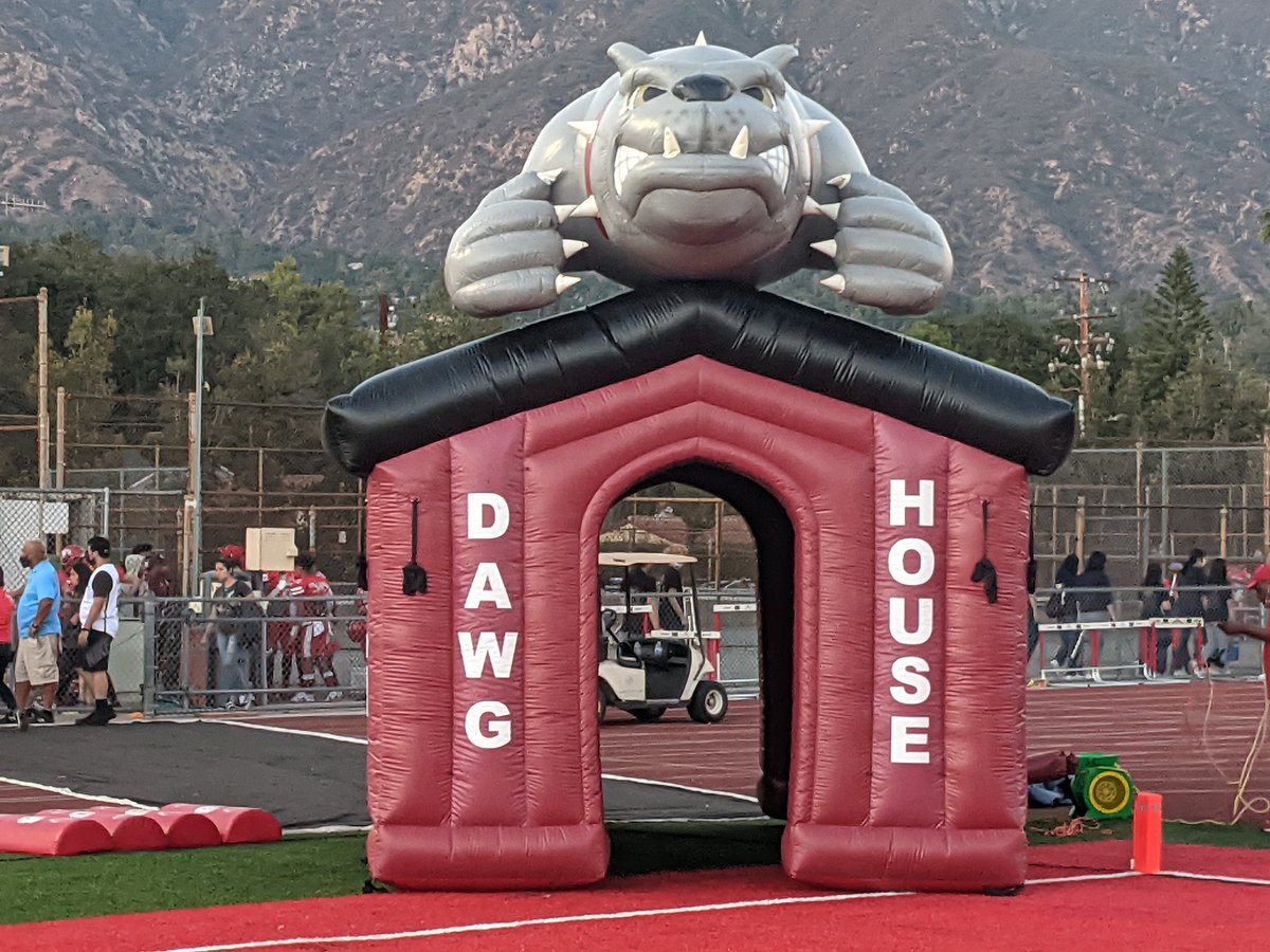 Donald Morrison tweet media