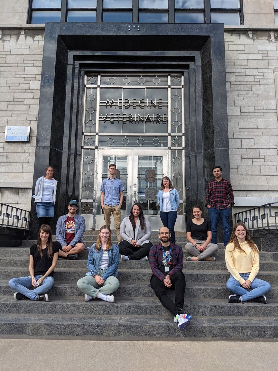 PradaCF's tweet photo. Cannot be prouder of the resilience of our team in this complex COVID times! #parasites #onehealth #beatNTDs #NTDs #Leishmania #Echinococcus @UMontreal @Can_NTDs @cresp_sante #nextgenerationscientists #stem @DvmWagner @Ana11Vic @GC_Milne https://t.co/oo5sx4vYt2