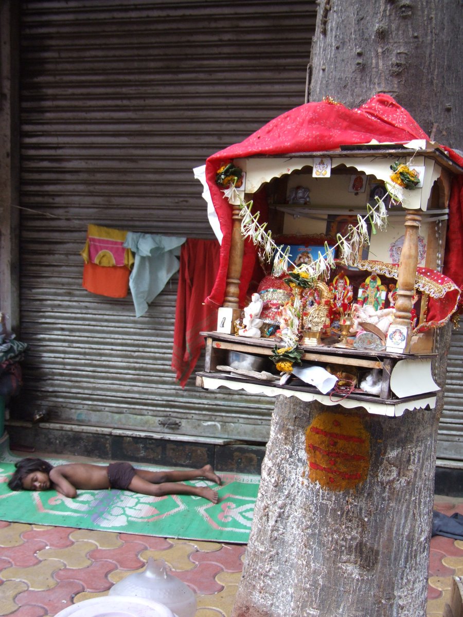 Cvfvkf41ysgdgm Cvfvkf41ysgdgm