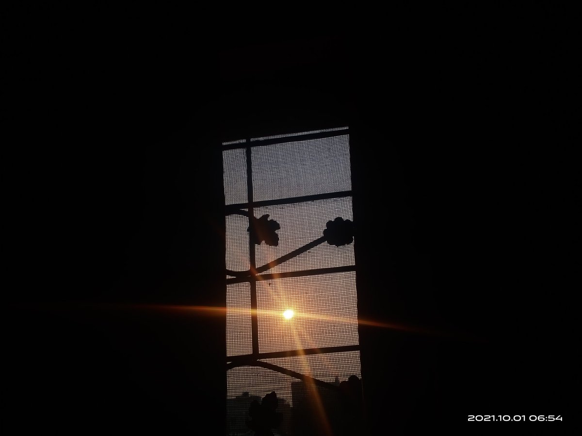 Aqsaa_Irfan's tweet photo. •• It Takes A Second To Lose The Trust, And A Life Time To Gain It 💜❤️💥
#goodmorning
#1st_october https://t.co/xi2F3lQWRU