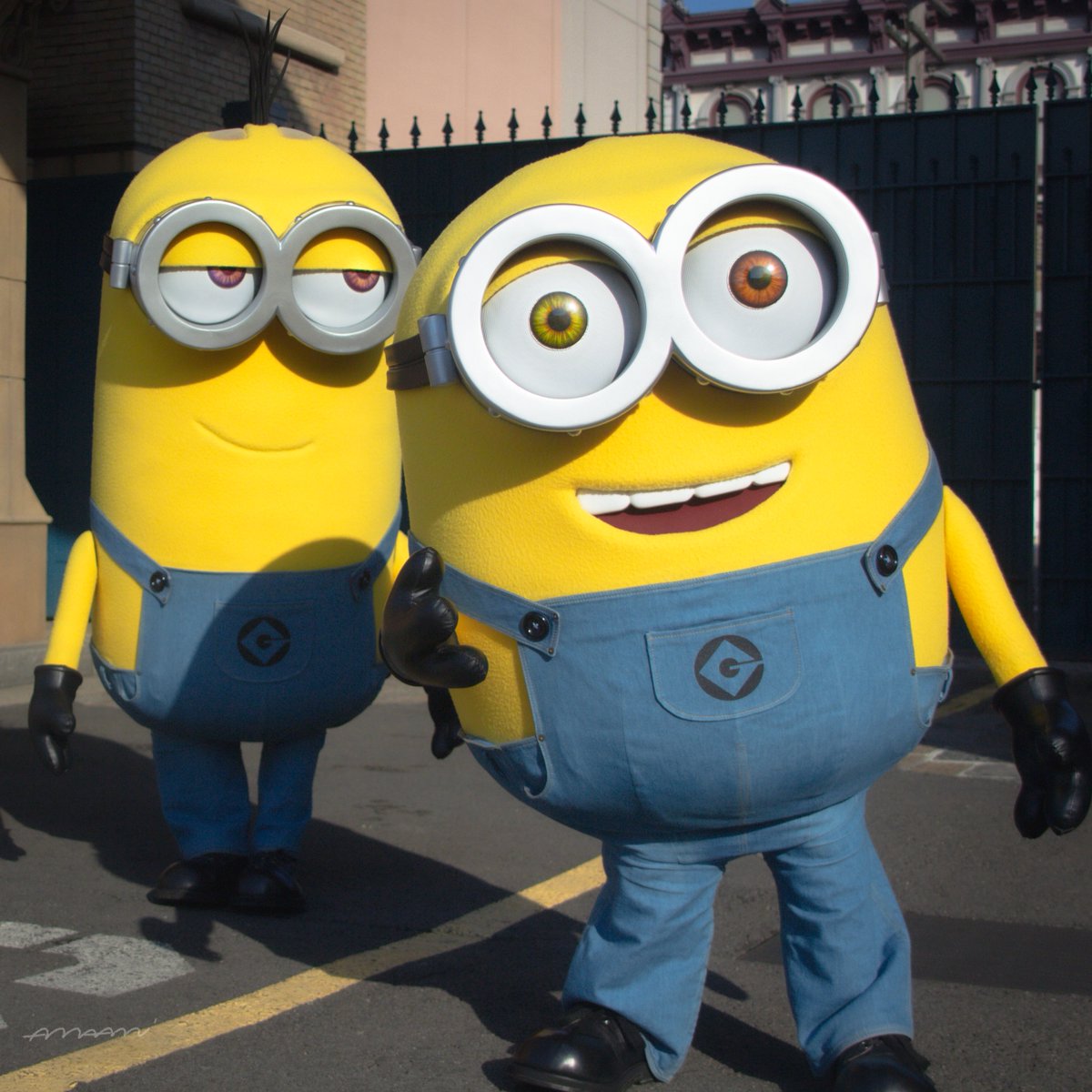 ケビン Pencarian Twitter