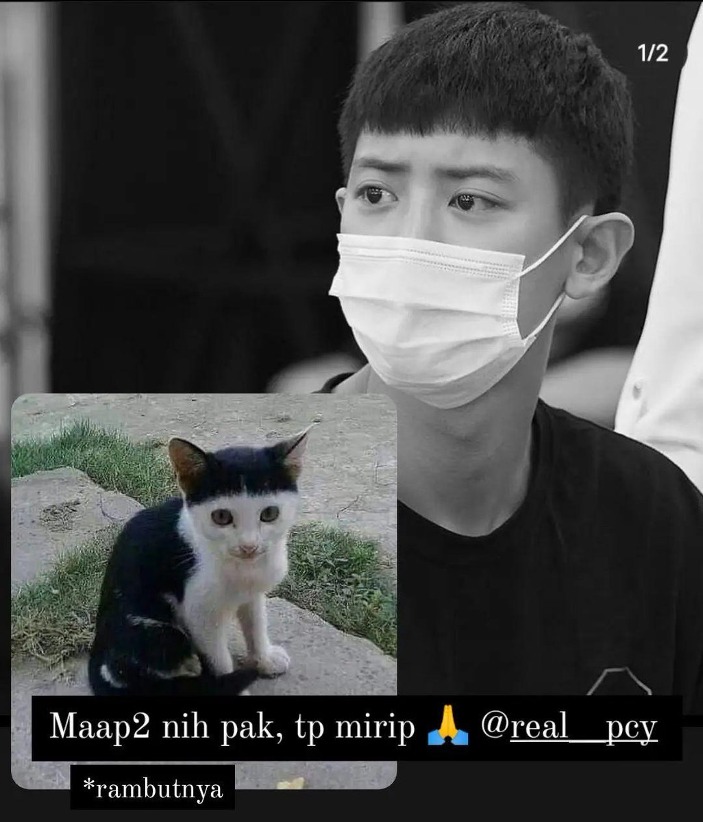 d e l lu0027 ia banget (@loeygyuu) Twitter