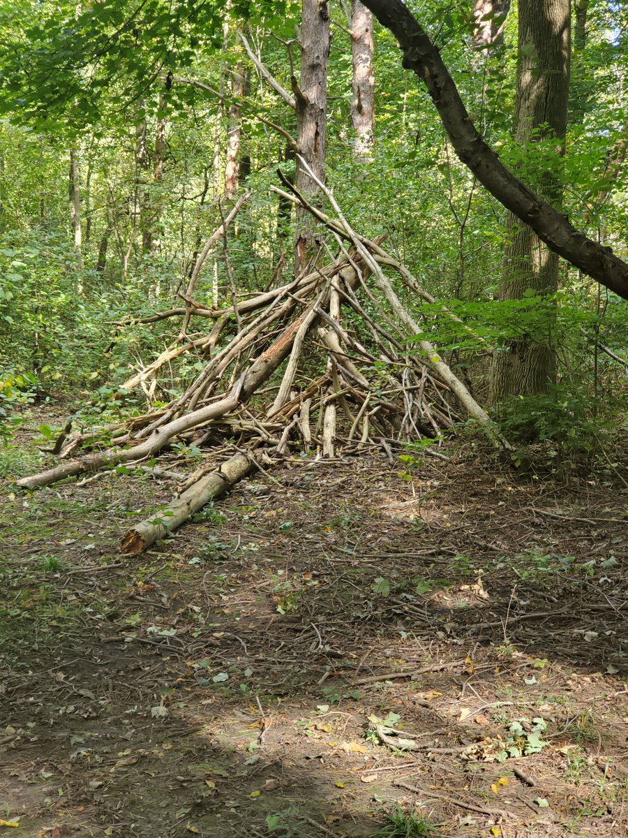 Sabrina Renaud (@sabrinarenaud5) on Twitter photo 