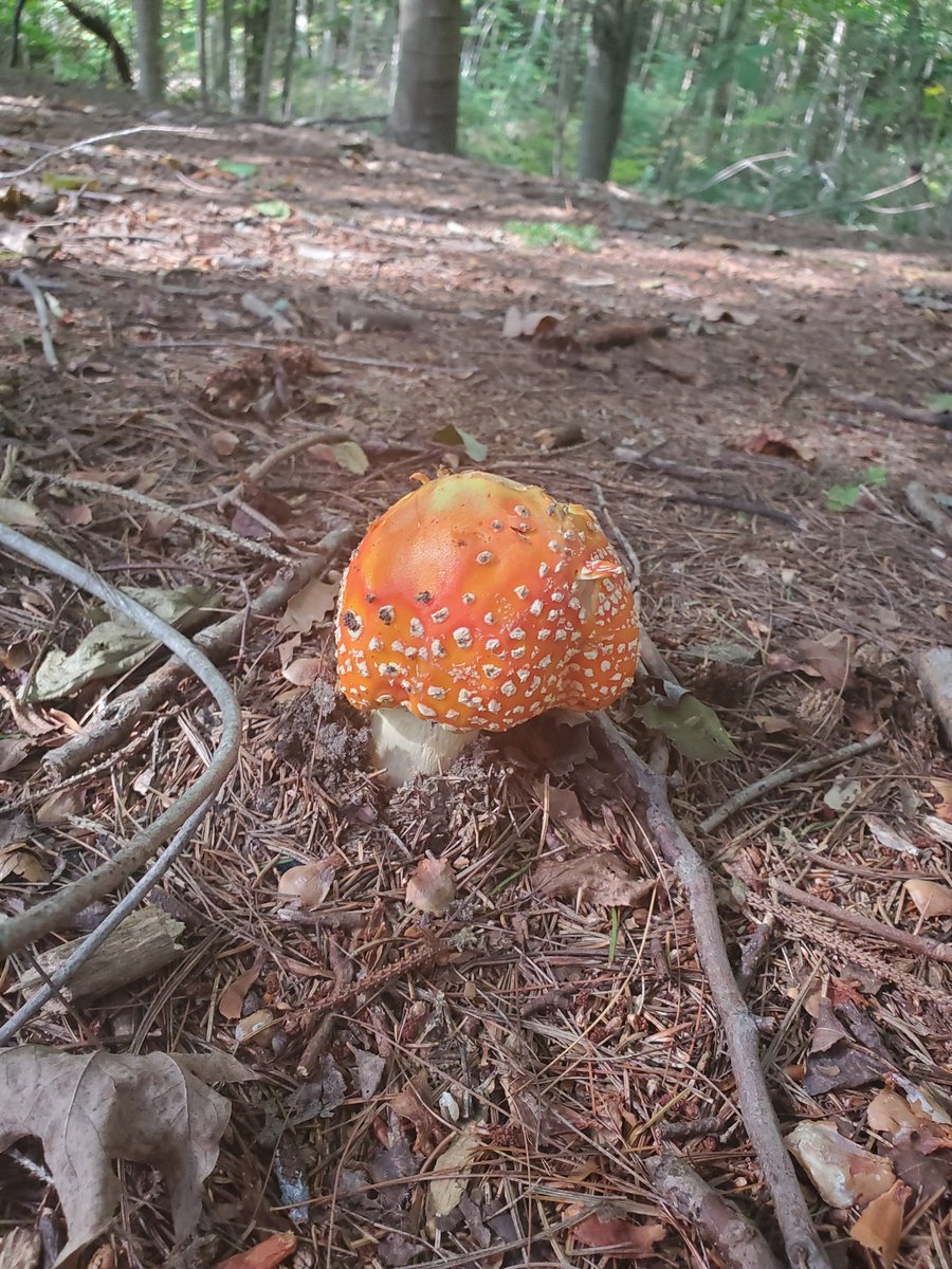 Sabrina Renaud (@sabrinarenaud5) on Twitter photo 