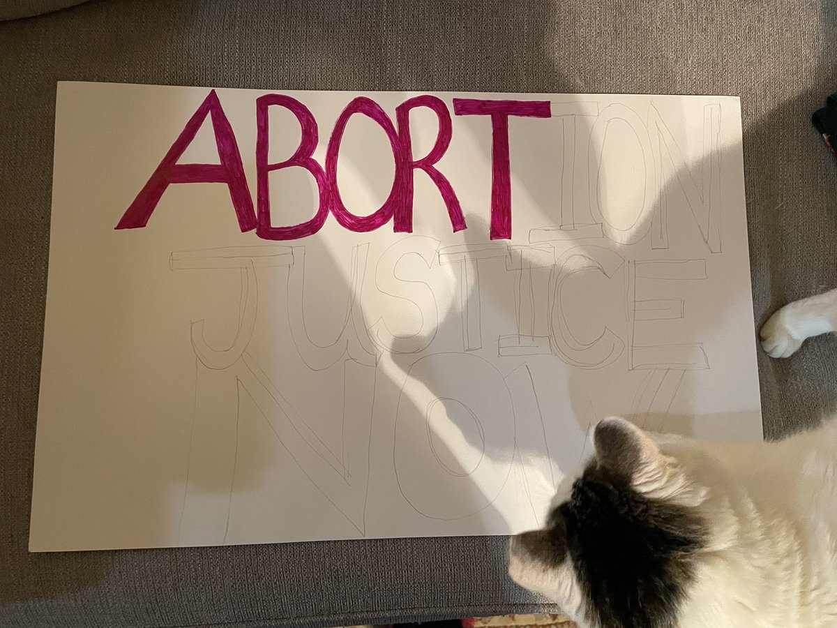 variouspagings's tweet photo. It’s not the finished product. But it’s a pretty good beginning. #BonusCat
#RallyForAbortionJustice
#AR4ReproductiveFreedom https://t.co/fUACbnAm90