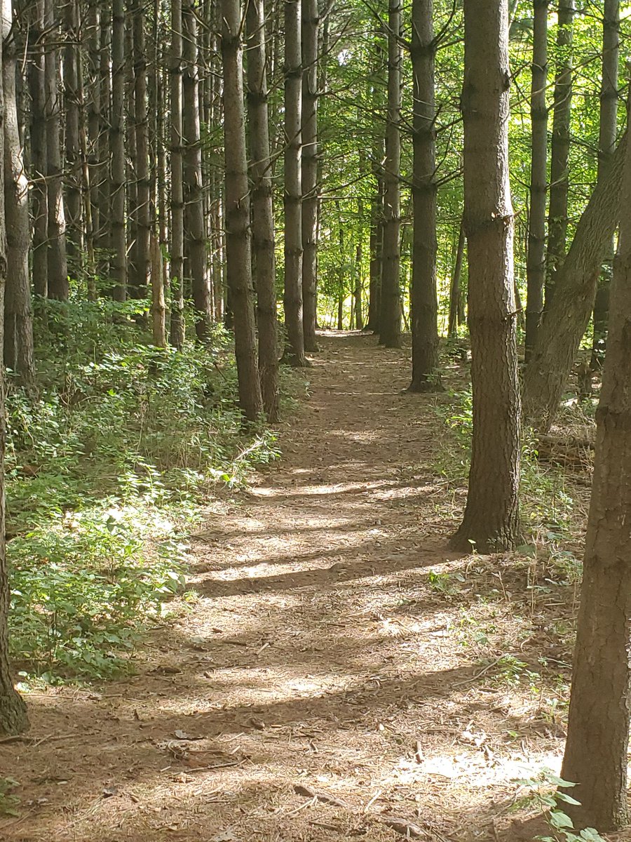 Sabrina Renaud (@sabrinarenaud5) on Twitter photo 