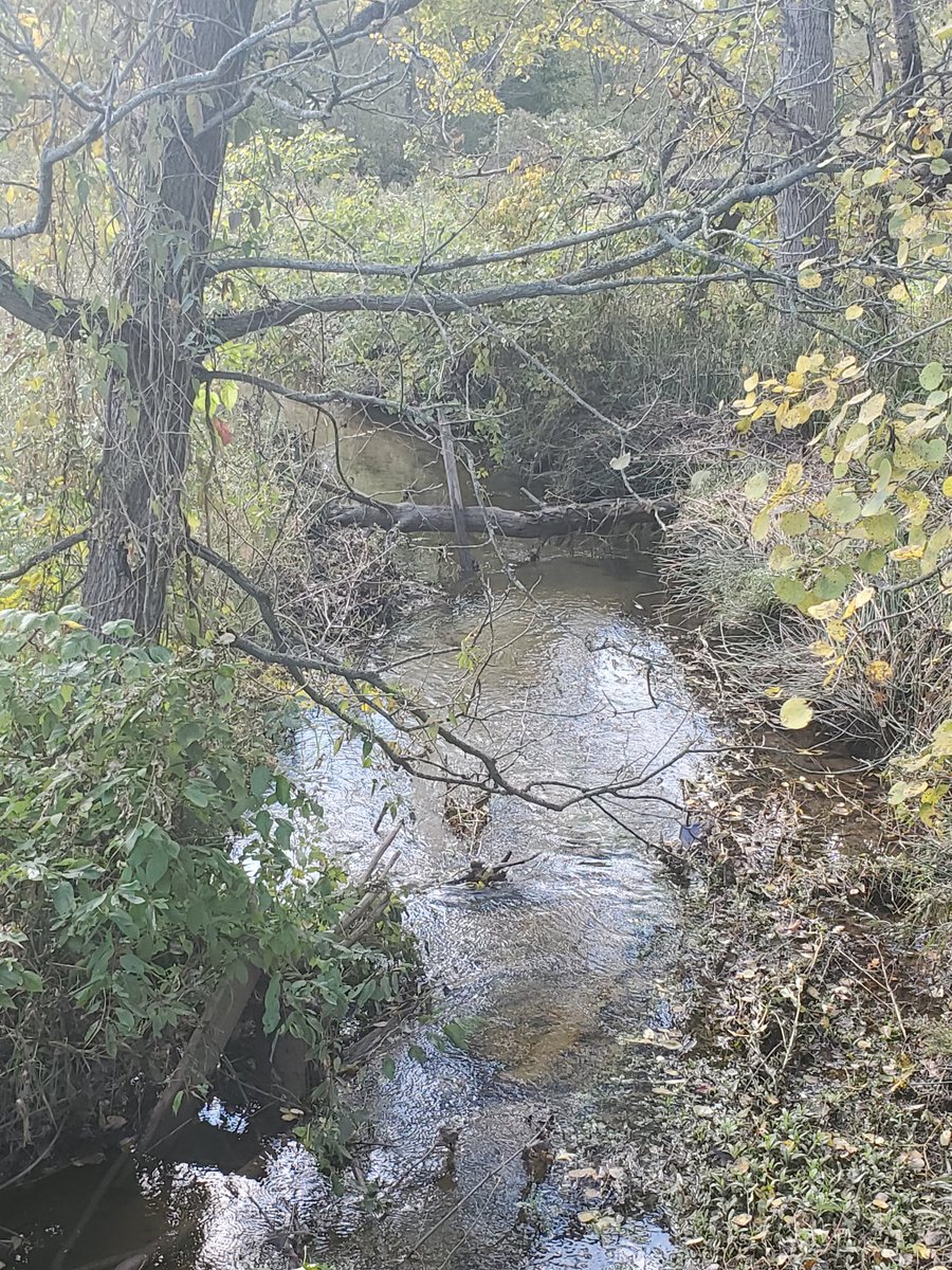 Sabrina Renaud (@sabrinarenaud5) on Twitter photo 