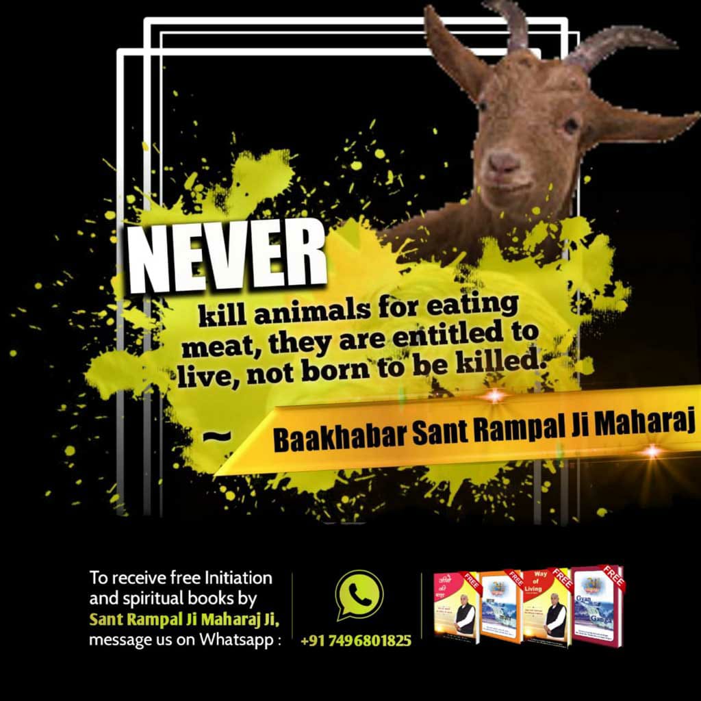 Ramkris90837622's tweet photo. #BeVegetarian
Cow is like a mother, don't use a knife on it, eat such food that does not cause pain to the mother.  The person who commits such a sin will be tortured by chains in the court of God. https://t.co/9w5pYlEgoW