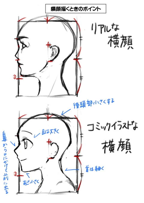 #お絵描き講座 #イラスト講座 横顔描くときのポイントめちゃくちゃざっくり描いてみた。比率で考えると失敗しにくいです