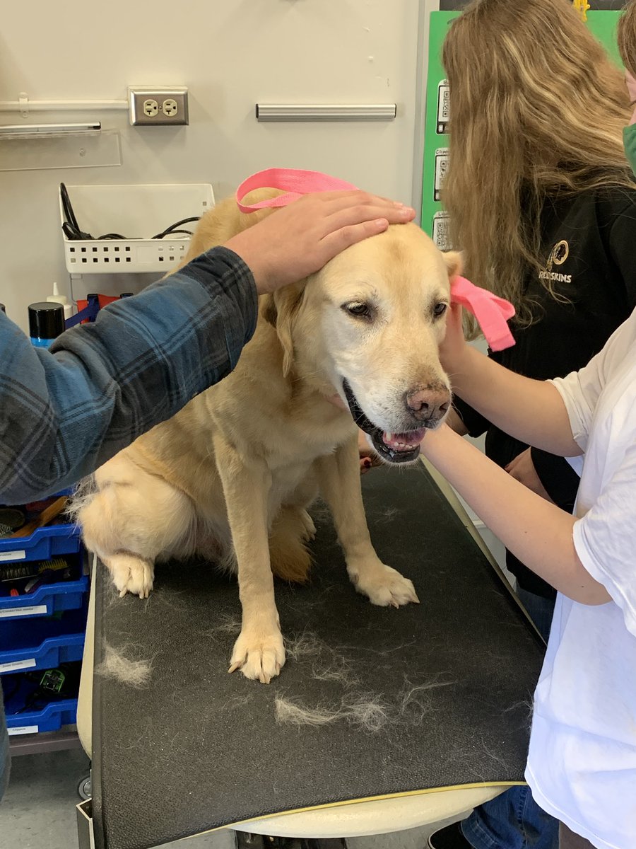 Scott Settar tweet media