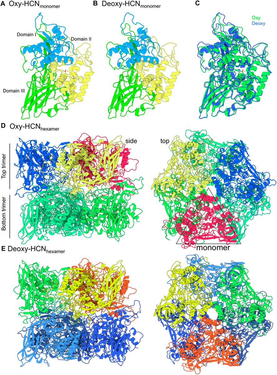 ACH@ORNL tweet media
