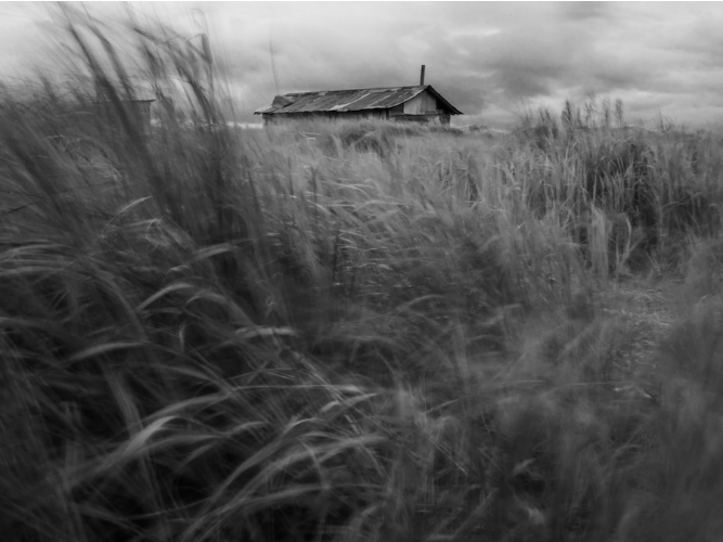 BunnellArts's tweet photo. ✨ October at Bunnell ✨ -"Sound of Wind and Grass" Exhibit, Drive in Cinema, Decolonizing Bodies, and Artist Calls Close!  https://t.co/dyuBx7Bly8 https://t.co/3nGoKc0XiO
