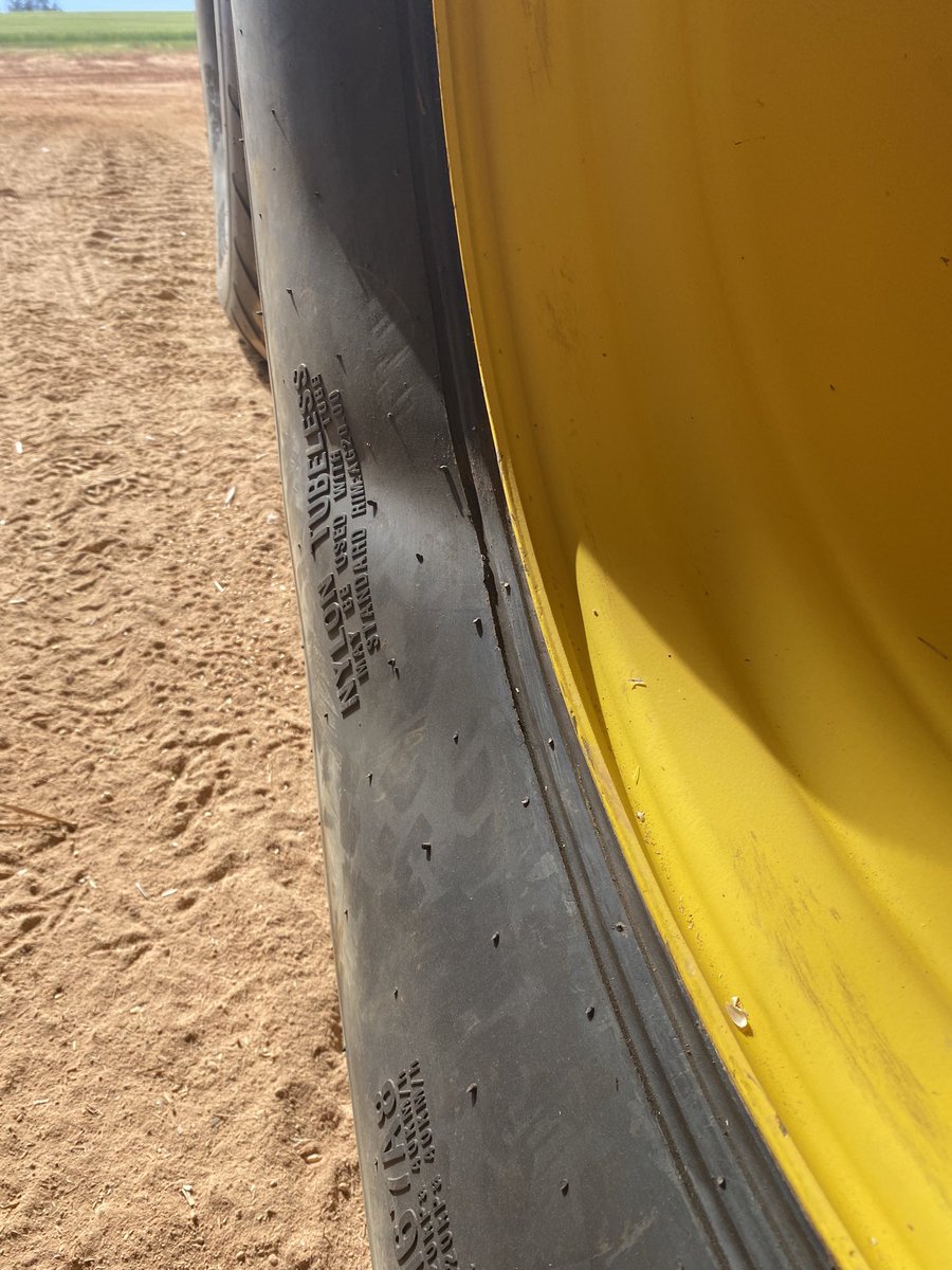 James Shannon tweet media