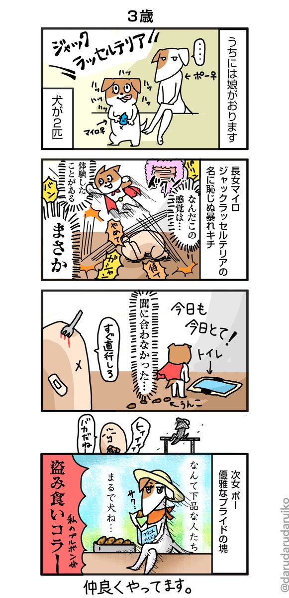 うちの犬の話
#犬 #ジャックラッセルテリア #漫画 