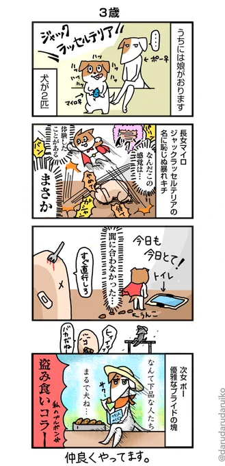 うちの犬の話
#犬 #ジャックラッセルテリア #漫画 